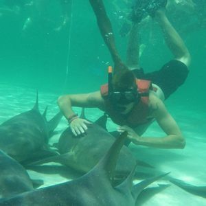 Meet your Posher, Scott